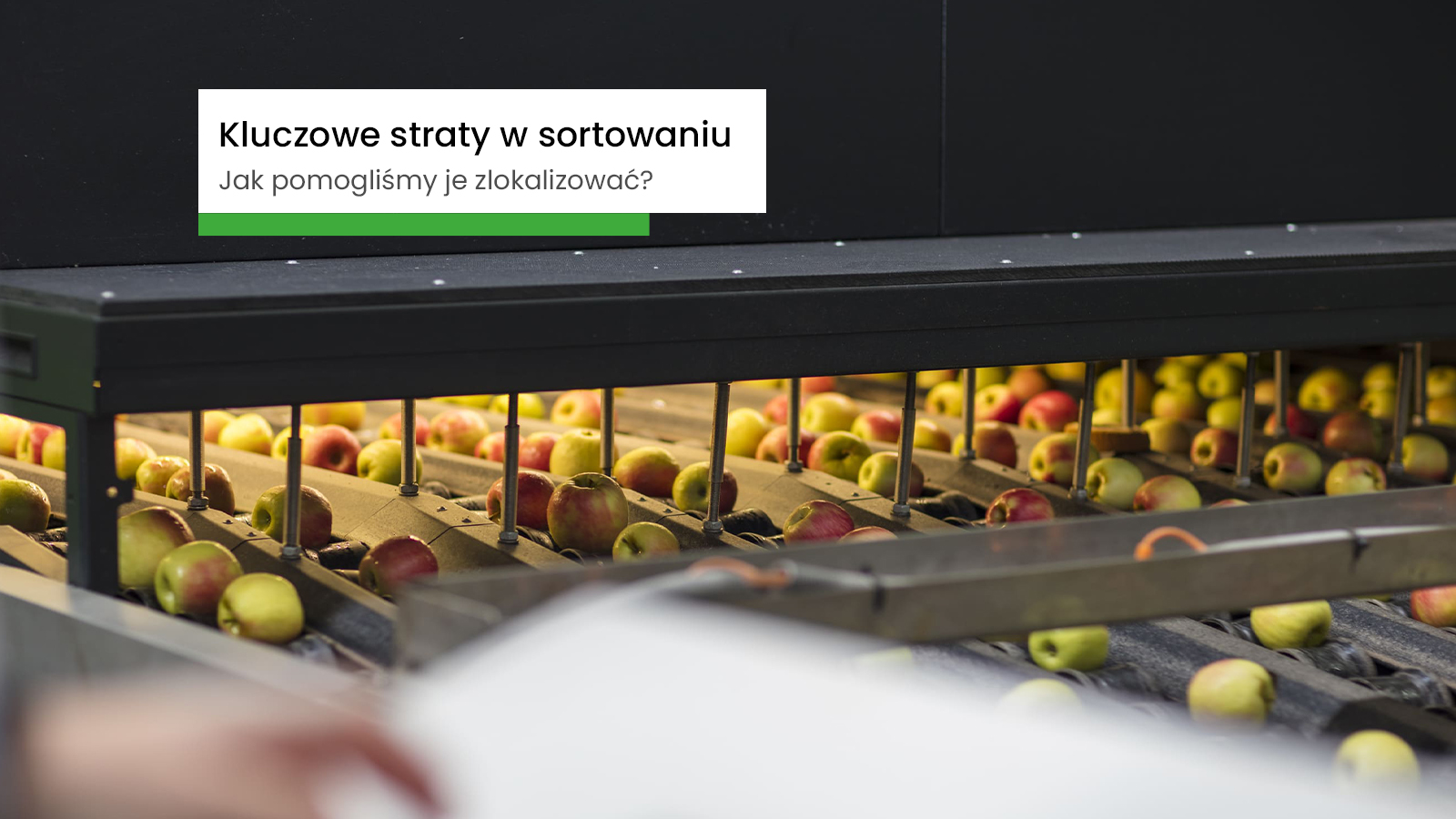 Jak firma sortująca owoce zlokalizowała kluczowe straty w produkcji?